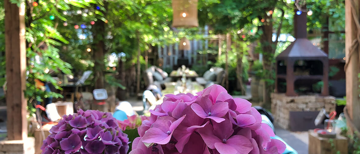 Tuindiner arrangement
